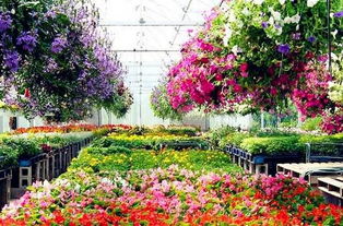 第一站必须要说的是这个让人又爱又恨的花者阝湖公园