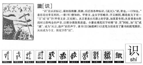 《綠》字属性速查表（带点噪声）