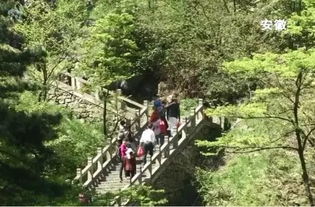 千岛湖案例：运动+植物，套餐里的“双拼快乐”怎么算才划算