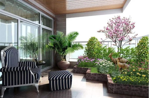 风水布局在提升店铺财运与人气中的作用