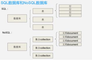 实施流程：从选址至作法全程解析