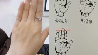 1.2 命名缘由与象征内涵