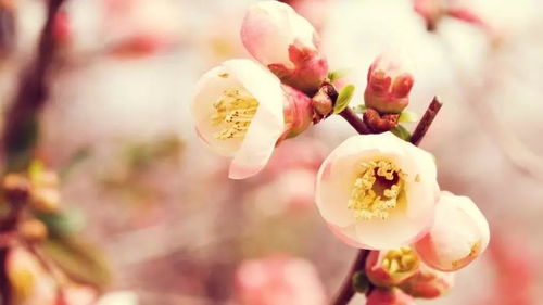 立春与雨水之间的微妙关系