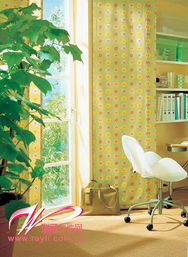 二、 客厅植物摆放位置及其对气场流动的影响