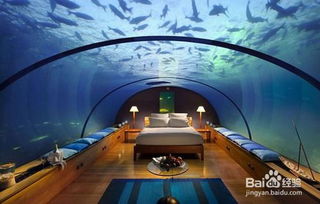 第一站：出发前的心理建设——也就是把脑子扔掉