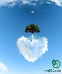 个体心灵净土的寻求：时代背景下的心理需求