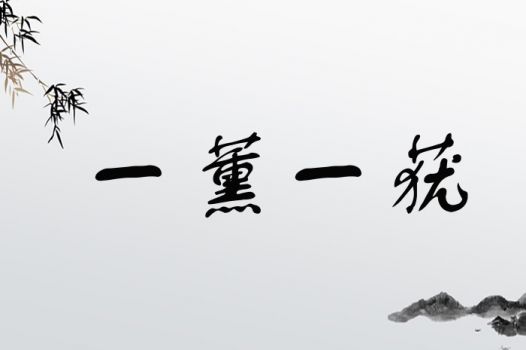 “止”字：一个被误解的倔强灵魂