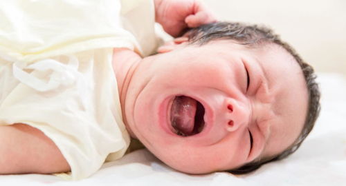 婴儿哭声的多重含义