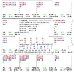 二、 “太阳化忌”对个人运势之具体影响分析