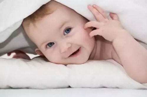 2026年哪些生肖女性最有可能备孕成功并怀孕？