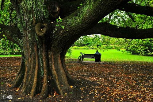 研究方法与资料来源