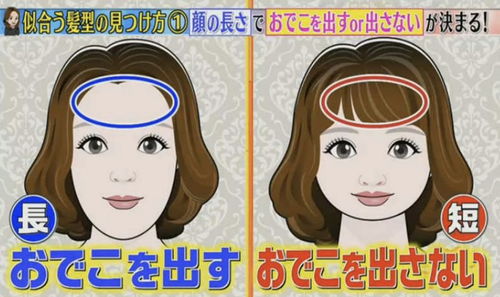 二、 额头——官禄与宏观视野的象征