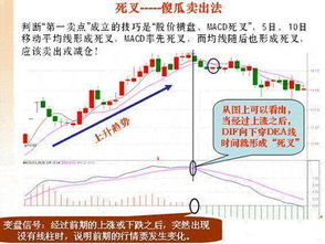 三、风水学视角下的空间范围能量场划分