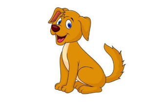 2026年属狗人的财运风水和好运方位分别是什么？