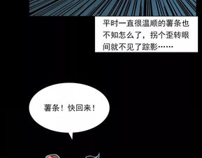 ：较深夜老屋异常声响的文化底蕴语境与学术实际价值