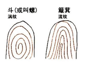 男人十个手指都是簸箕，这命运是否意味着一生贫穷？