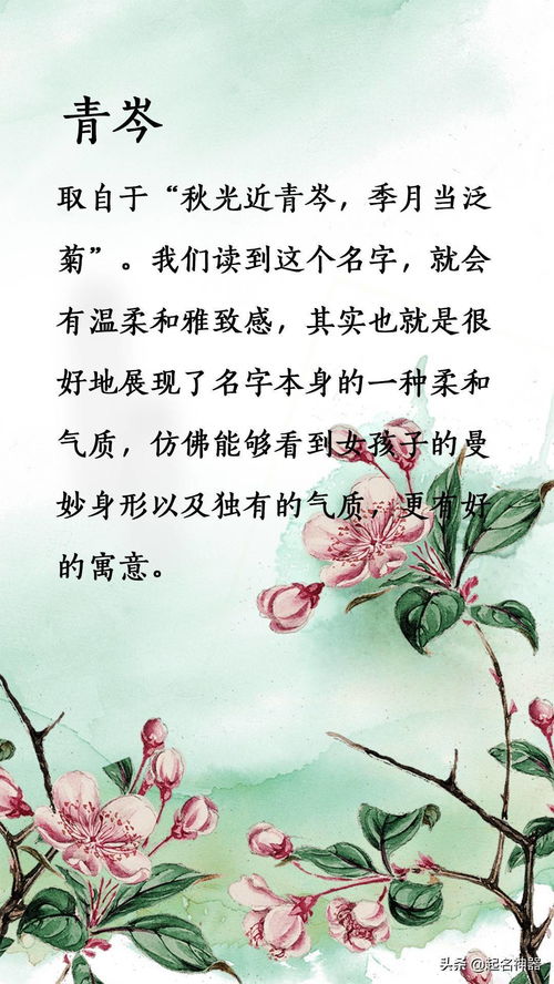 三、 《楚辞》《汉赋》豪迈笔法启发