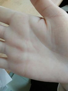 手相中感情运势线能准确反映感情运吗？