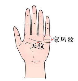 掌纹手相学中，男女的手相掌纹有相同之处吗？