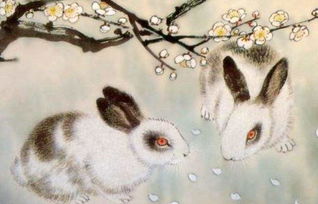 2026年属兔运势财运如何？属兔2026最强助学业物件是什么？