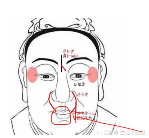 太阳穴鼓鼓=钱包鼓鼓？！