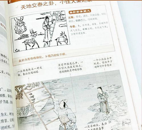 五行数理的应用秘籍