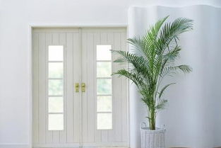 （二）西方—金属性