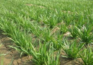 动土时辰的重要性