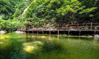 风景？呵呵！人挤人还看个屁！