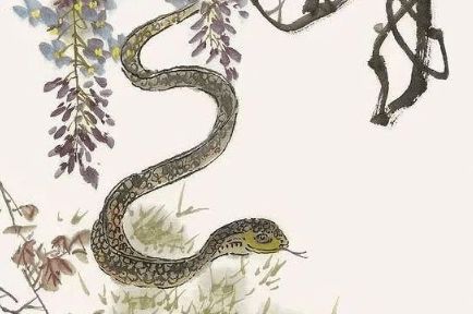 属蛇的文昌贵人属相是什么，属蛇贵人命理是什么意思？