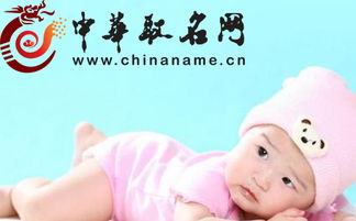 4.2 “瑞瑞”与“琦琦”：祥瑞美玉的高贵气质