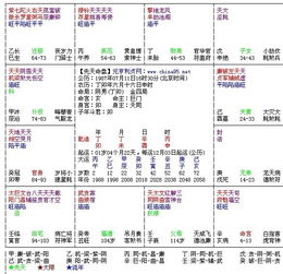 3.1 桃花行明星号概述