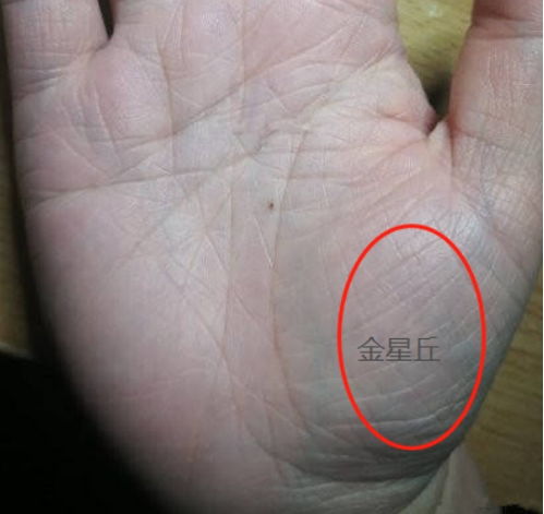 手相中哪些部位能看出烂桃花？