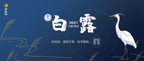 乙巳年乙酉月：巳蛇的“木火通明”与财富流通