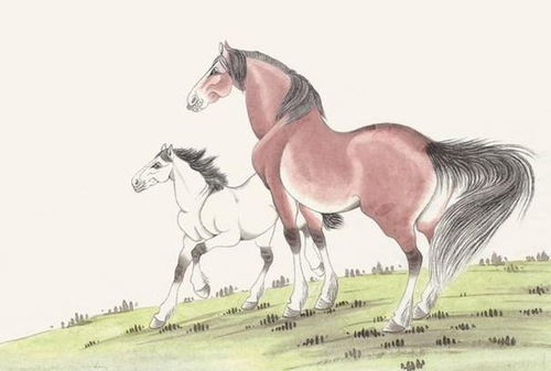 属马女在2026年会遇到怎样的感情和婚姻运势？