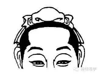2. 额头较宽较窄——荣华富有市场价格较高之尺度