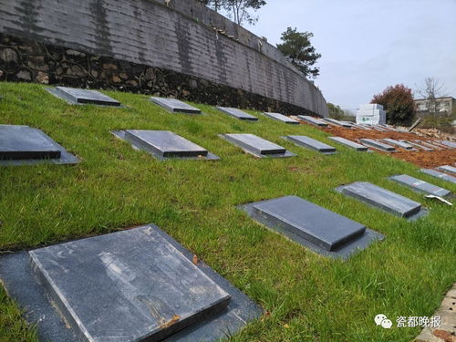 生态葬法：树葬、 草坪葬与花葬的绿色实践
