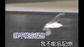 四、 文本分析：叙事结构与心理描写