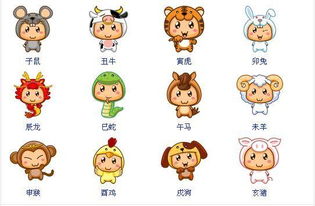十二生肖的顺序表是什么？