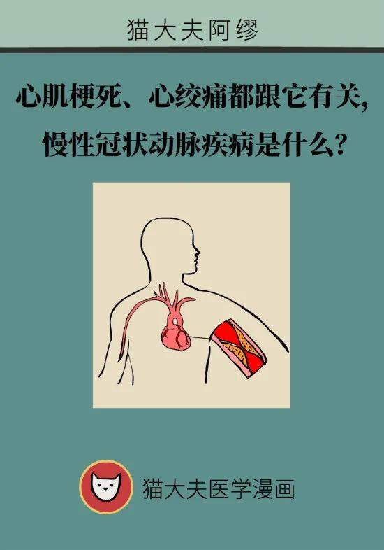 一、 面相学视角下的小耳特征及其情感倾向