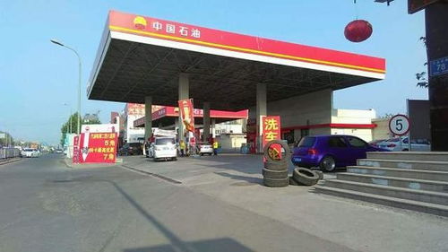 加油站比大熊猫还稀罕