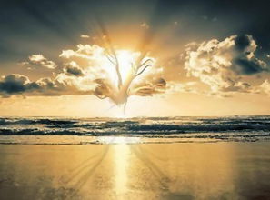 2. 心理舒适度的提升