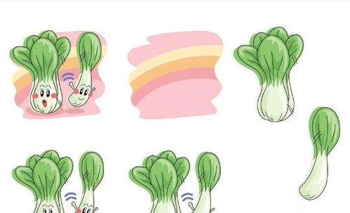 2.2 植物配置与空气净化效应