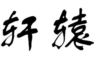 姓轩辕的宝宝起个什么好名字呢？有没有什么寓意美好的建议？
