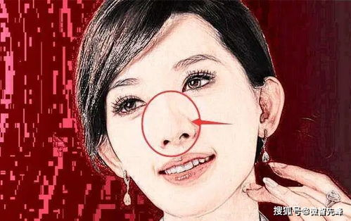 眉毛之象：进取与机遇