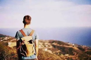 后续的那些破事儿