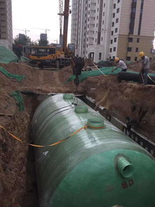 1. 厌氧环境下的有机物分解与“阴气”积聚