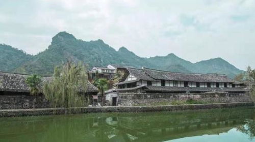 一、  历史维度的考量：胡氏家族的兴衰与定居逻辑