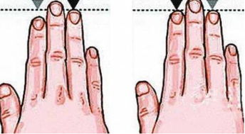 3. 辅助佩戴物对财运与健康可能产生之影响