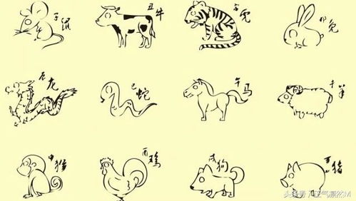 如履平地最符合的生肖是哪个？这背后有什么生肖特质？